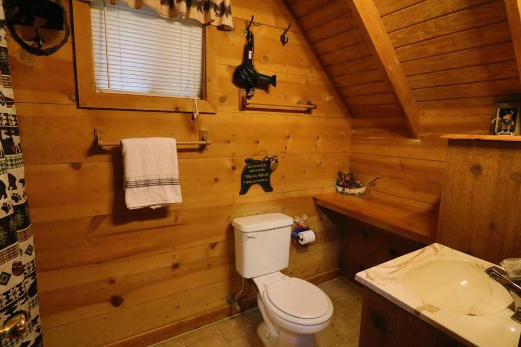 Cute Updated Mountain Cabin Fireplace #3 Helen Exterior photo