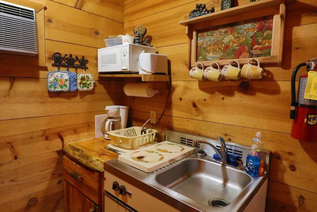 Cute Updated Mountain Cabin Fireplace #3 Helen Exterior photo
