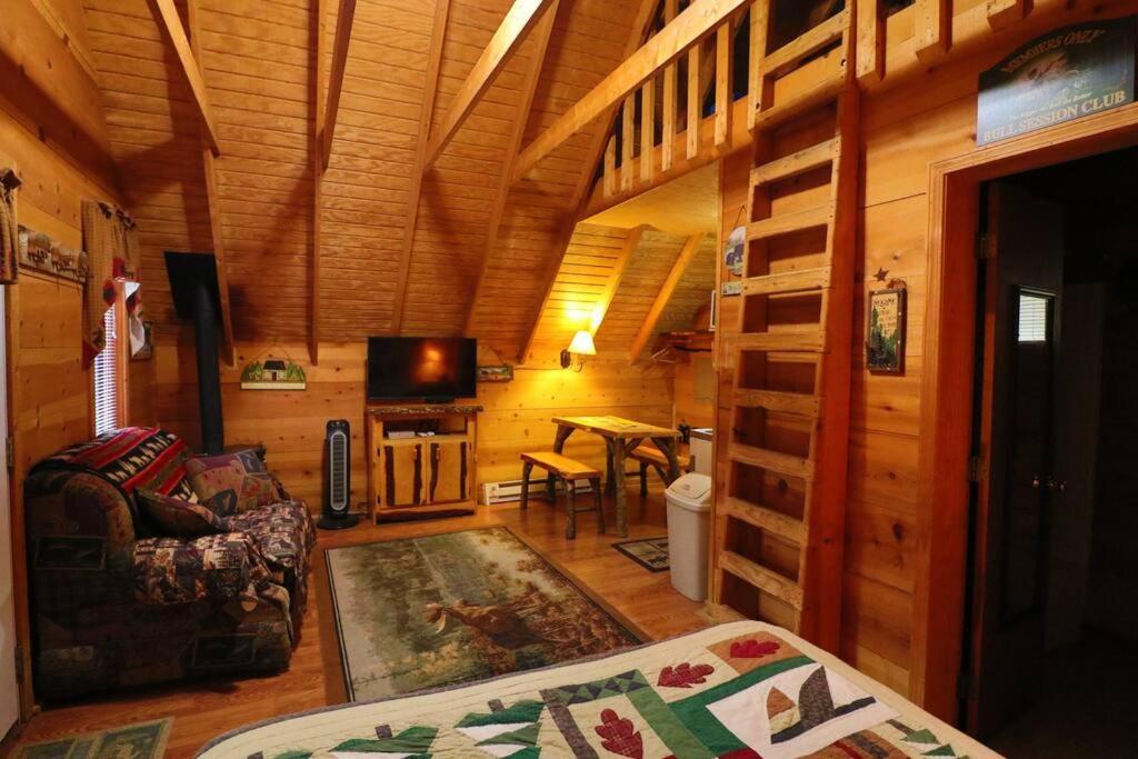 Cute Updated Mountain Cabin Fireplace #3 Helen Exterior photo